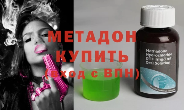 гидра Няндома