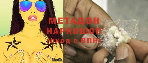 гидра Няндома