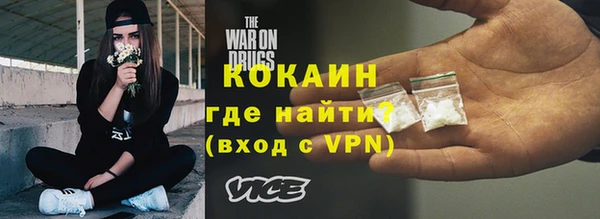 гидра Няндома