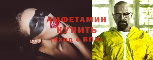 гидра Няндома