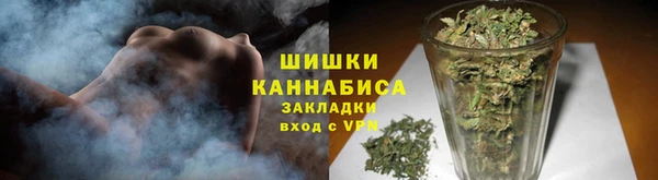 гидра Няндома