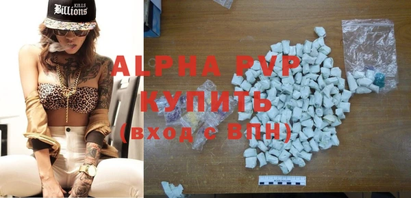 гидра Няндома