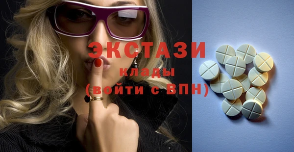 гидра Няндома