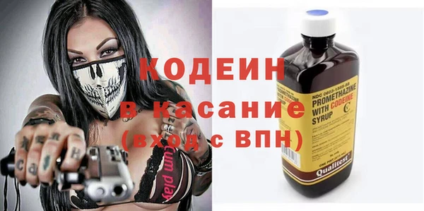 гидра Няндома
