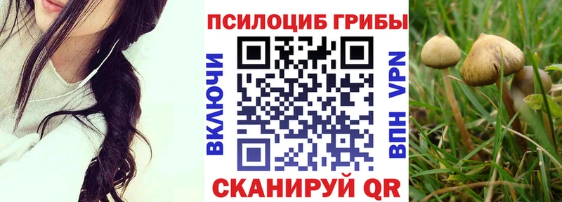 Псилоцибиновые грибы GOLDEN TEACHER  hydra ссылка  Королёв 